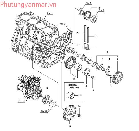 Trục cam và bánh răng dẫn động